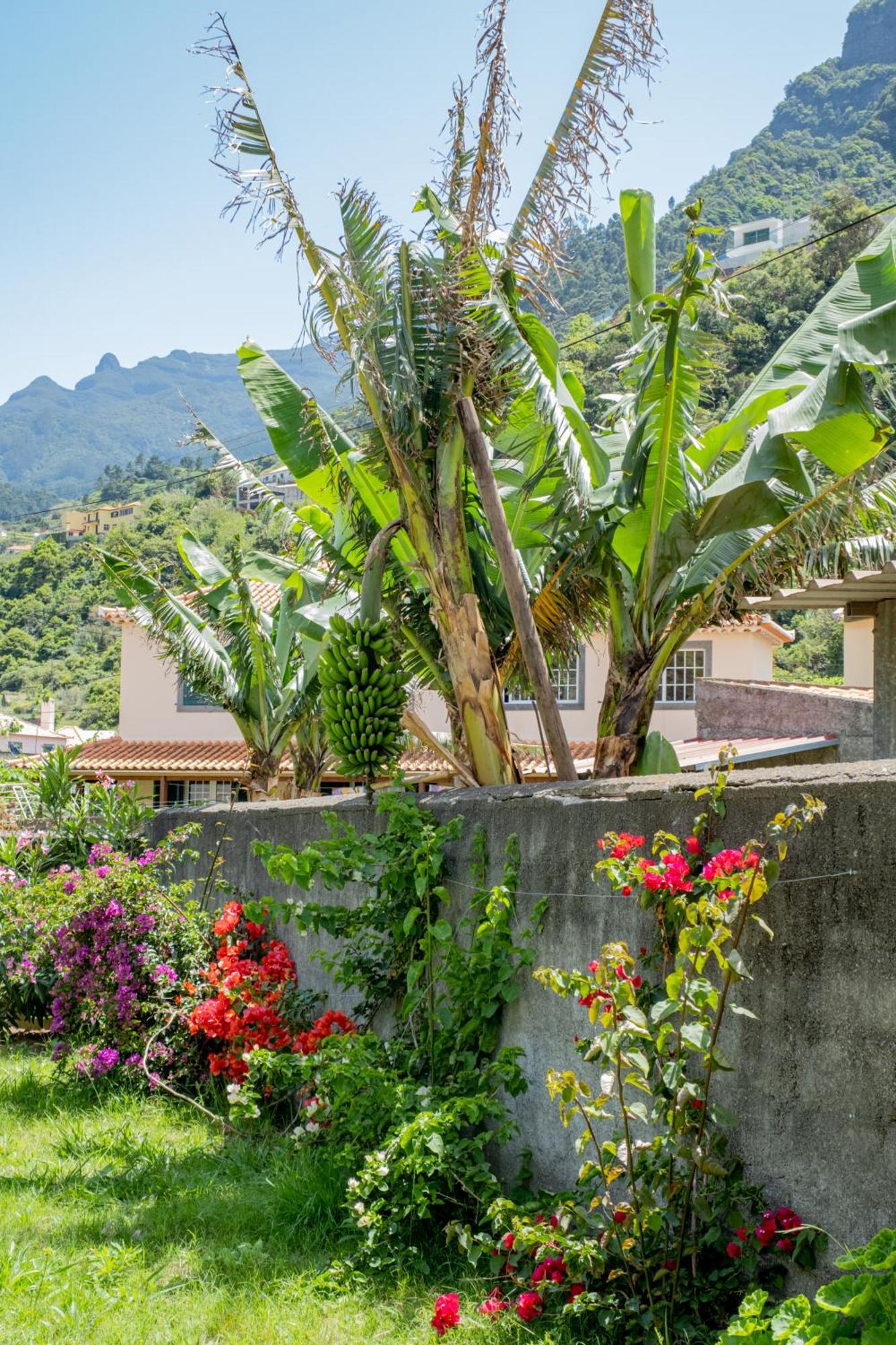 Sao Vicente Guest House Eksteriør bilde