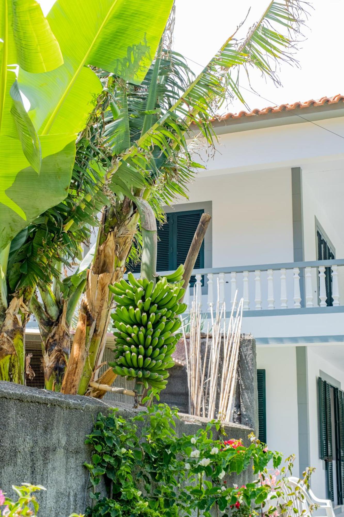 Sao Vicente Guest House Eksteriør bilde